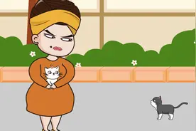小猫再一次被前主人抛弃，小猫已经没有回头路了视频封面