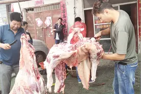 河南农村驴肉现杀现卖，多少钱一斤？听杀驴师傅咋说的，贵不贵视频封面