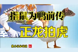指鼠为鸭的前传正龙拍虎是怎么一回事儿视频封面
