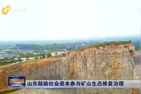 按照谁投资、谁受益原则！山东鼓励社会资本参与矿山生态修复治理视频封面