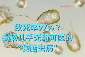 致死率97%？揭秘几乎无药可医的“食脑虫病”视频封面