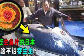 为啥日本宁愿吃生食患寄生虫，也不点火？生吃牛肉马肉真的好吃吗视频封面
