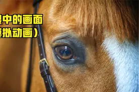 马眼中的画面（模拟动画）视频封面