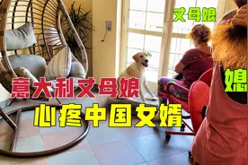 中国女婿在意大利家庭啥地位，丈母娘行为说明了一切，媳妇很佩服视频封面