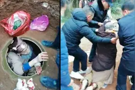 近八旬患癌老人自己挖洞等死被救出，政府回应：他不想连累子女视频封面