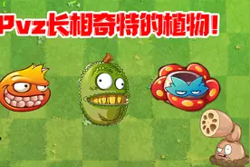 植物大战僵尸：Pvz那些长相奇特的植物！菠萝蜜位居第一没毛病视频封面