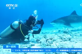 旅游达人上天入海，圈粉无数？这个“幸福职业”的吸金秘诀公开了