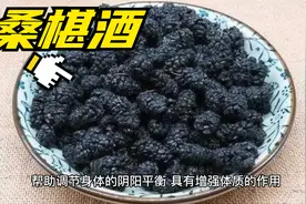 桑椹酒有滋补肝肾、润肺止咳、改善视力、提高免疫力等作用和功效