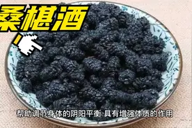 桑椹酒有滋补肝肾、润肺止咳、改善视力、提高免疫力等作用和功效视频封面