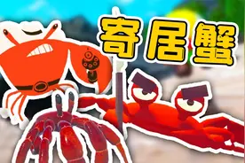 可怜的寄居蟹，一生中不断的寻找新家，最终放弃家园渡海远游视频封面