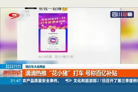 网约车大战再起！滴滴热推“花小猪”打车，号称百亿补贴视频封面