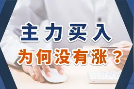 大量主力资金买入股票却不涨？困扰老股民10年的难题，终于解决了