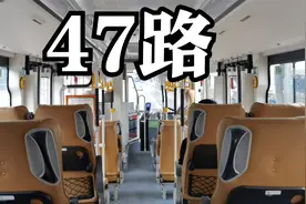 成都解封了，坐公交逛逛视频封面