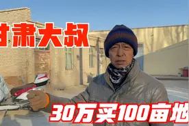 甘肃大叔贷款30万来新疆买地盖房子，外加100亩耕地，年赚多少？视频封面
