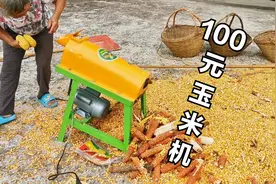 安徽农民新福利，100多元脱玉米机，轻松方便剥玉米，米粒完整