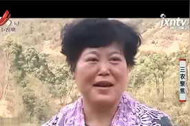 夫妻俩退休养老，在山里养起了孔雀，养殖孔雀可不是一件简单事！视频封面