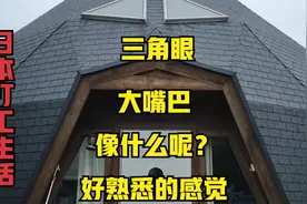 第241天，日本奇葩的圆形住宅，三角眼，大嘴巴，像什么呢？视频封面