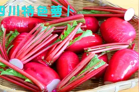萝卜只需放到太阳底下晒，就能做出四川特色菜，麻辣鲜香开胃过瘾视频封面