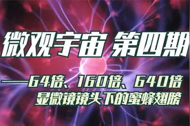 【微观宇宙 第四期】64倍、160倍、640倍镜头下的蜜蜂翅膀视频封面