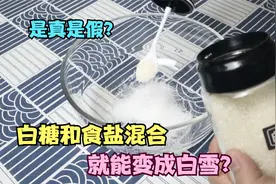 白糖和食盐混合，就能变成白雪？硬币放在水面上，就能漂浮？