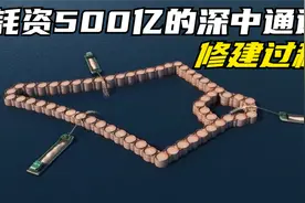 耗资500亿的深中通道，为何会选择修建难度更大的海底隧道呢视频封面