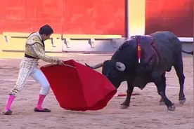 一起来看西班牙斗牛视频封面