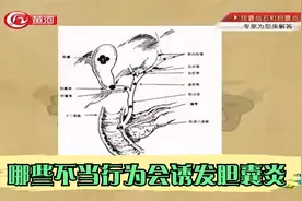 胆囊炎作为高发病症，哪些不当行为会诱发胆囊炎？视频封面