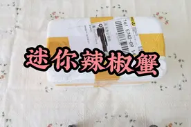 开箱7只迷你辣椒蟹，没想到个头这么小，能长大吗？视频封面