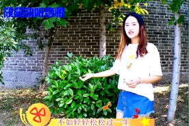 《相偎相依到永远》我还是会相信爱情，只是不会再相信爱情能永远视频封面