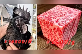 世界上最昂贵的食物，印尼乌鸡价值1.68万，最贵牛肉来自日本！视频封面