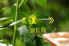 古琴箫合奏纯音乐《涅槃》，静心安神，平和气血，缓解疲劳视频封面