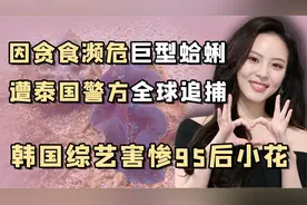 倒霉韩星李烈音出国吃海鲜吃出5年牢饭，事业刚起步就备受打击