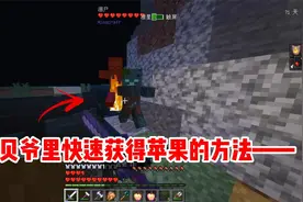 我的世界贝爷生存60：贝爷快手获取苹果方法