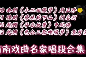 周玉珍、刘忠河、申凤梅、袁秀莲等河南戏曲名家唱段集锦视频封面