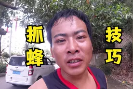 小黑告诉你们一个抓蜂小技巧，风油精加管子哪里蜜蜂抓不到用哪里视频封面