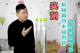 钓鱼调三钓三，不同饵料水底状态是一样吗？实测结果一目了然视频封面