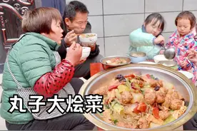 砍个白菜炸些肉丸子，吃顿丸子大烩菜，暖和又美味！视频封面