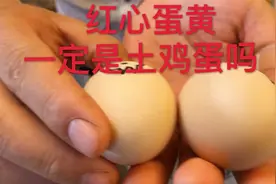 红心蛋黄就是土鸡蛋吗，阿桂教你三招辨别真伪，一学就会赶紧收藏视频封面