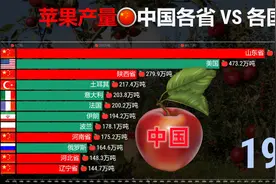 中国各省VS各国苹果产量TOP 12，陕西：在座的都是弟弟！