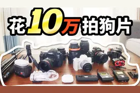 花10万多买器材只为拍狗？萌宠博主日常拍摄大揭秘
