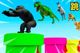 兔子、老虎、大象进行跳远比赛，什么动物跳得最远呢