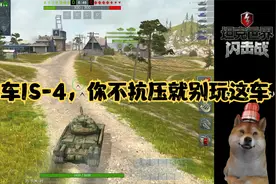 【毛毛WOTB】本命车IS-4，你不抗压就别玩这车