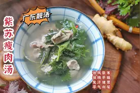 广东人真会“滚”汤，用1块钱的紫苏叶煮汤，祛湿散寒赶走湿气视频封面