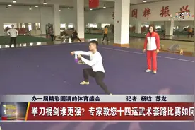 拳、刀、棍、剑谁更强？ 专家教您十四运武术套路比赛如何看视频封面