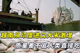 越南从印度进口大米激增3249倍，调查发现：质量太差不宜人类吃视频封面