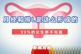 为什么要来大姨妈，99%的女性都不知道，3D动画带你了解全过程视频封面