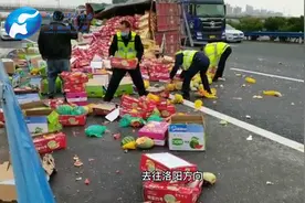 12吨瓜果散落高速，收费员徒手搬运保畅通视频封面