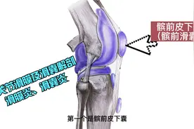 临床实用解剖系列--膝关节滑膜囊，滑膜炎、滑囊炎诊治相关解剖视频封面