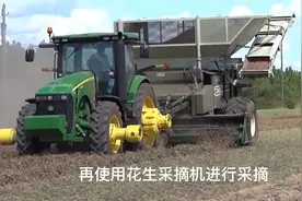 在德国1000亩花生，几台机器1天就完成收获，高效的花生收割机视频封面