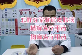 宠物得了真菌这样治疗不用去医院在家确诊治疗，猫癣，狗癣，真菌视频封面